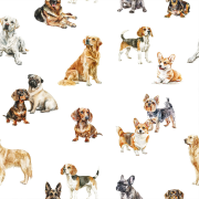 the_dogs_D00295_detal_1x1.png